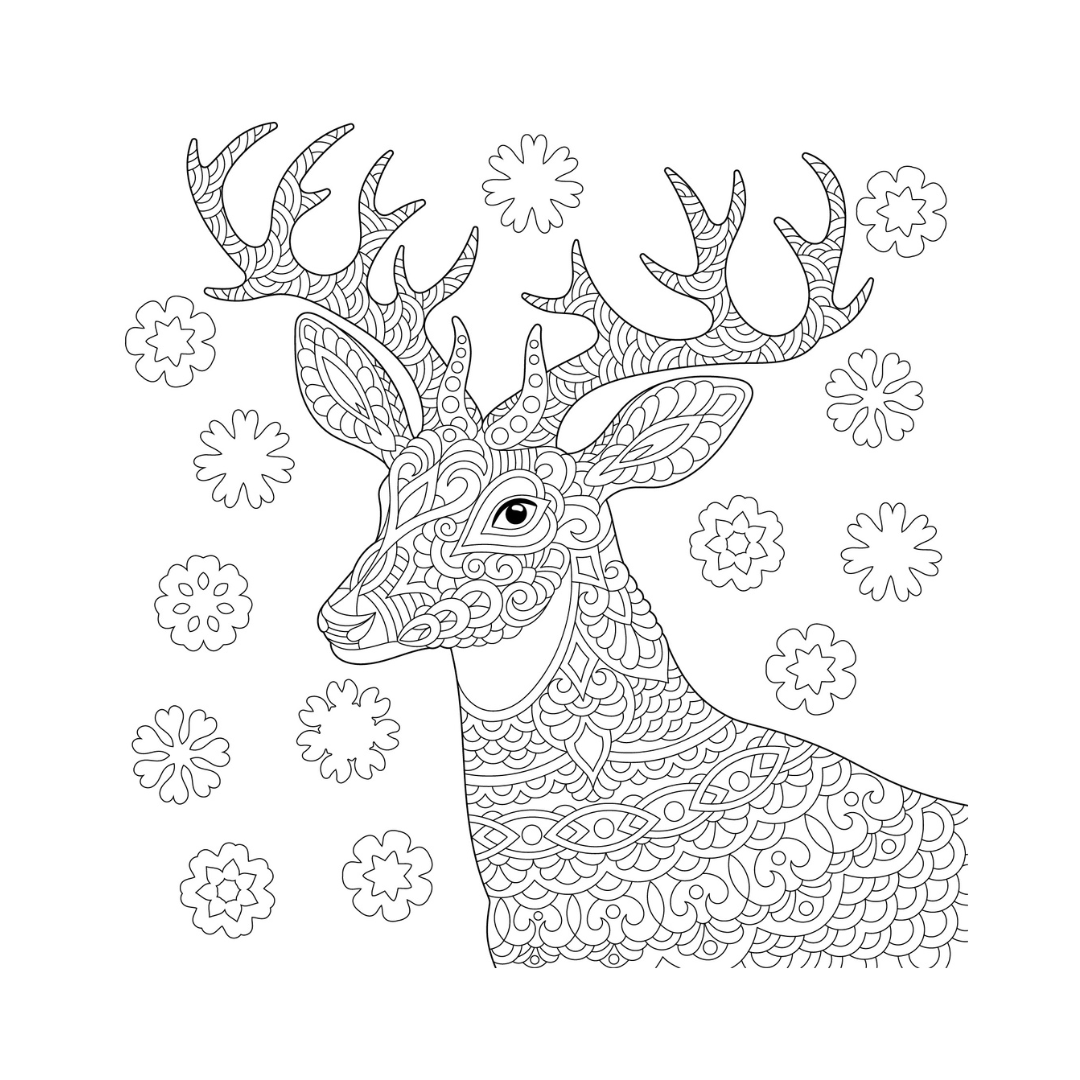 Tableau sur toile à colorier cerf de noël 30x30 cm